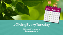 Graphic with a leafy background that says #GivingEveryTuesday, this week's theme is Environment"