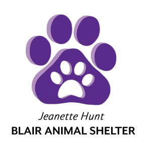Shelter Logo