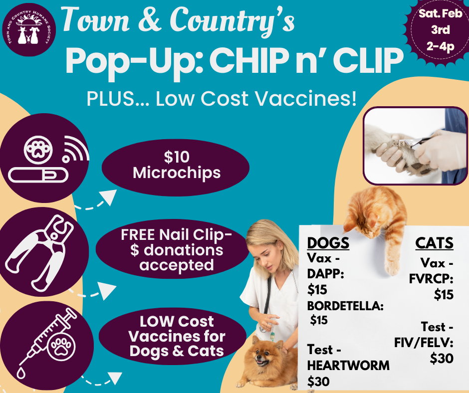 T&C's Chip n Clip