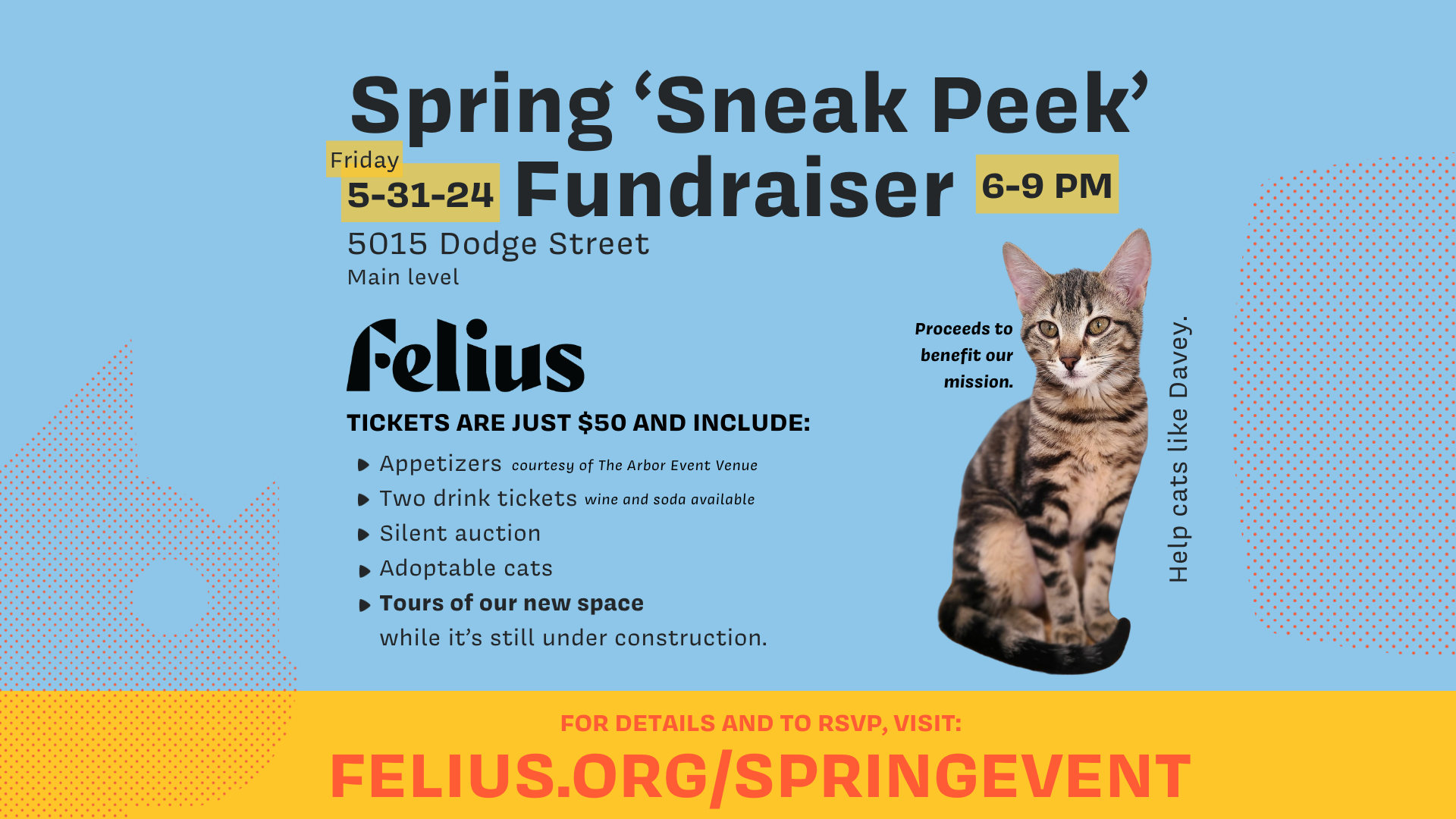 Felius Fundraiser Details