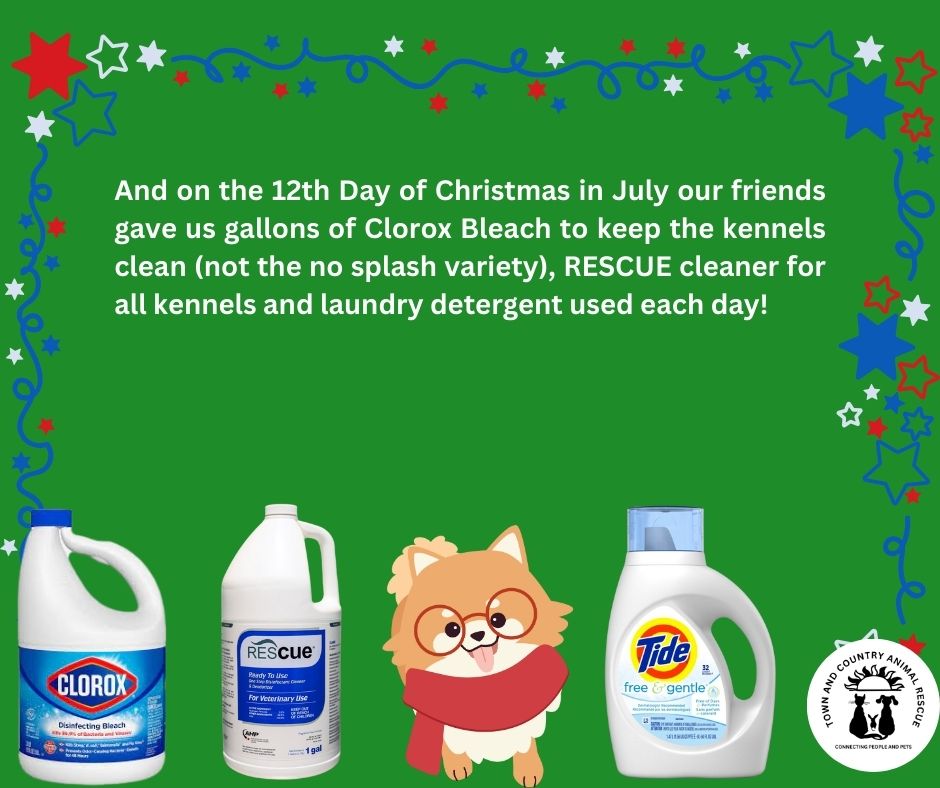 and on the 12th Day of Christmas - clean clean clean