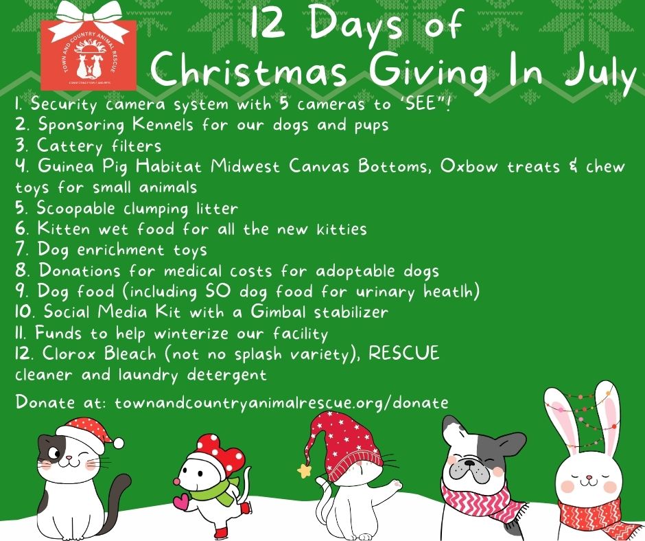 12 days of Christmas summary of all the wish list