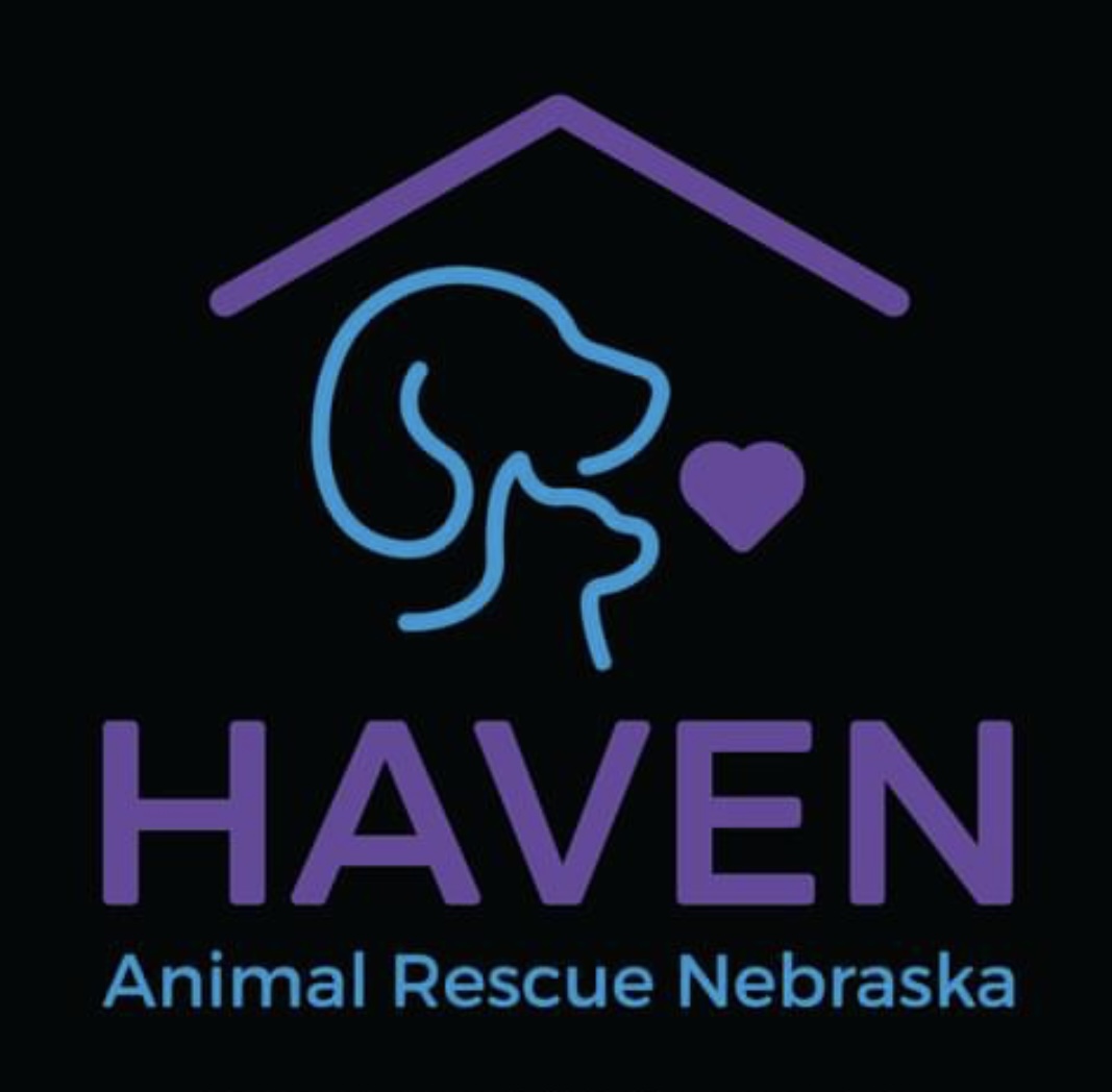 Haven Animal Rescue Nebraska 