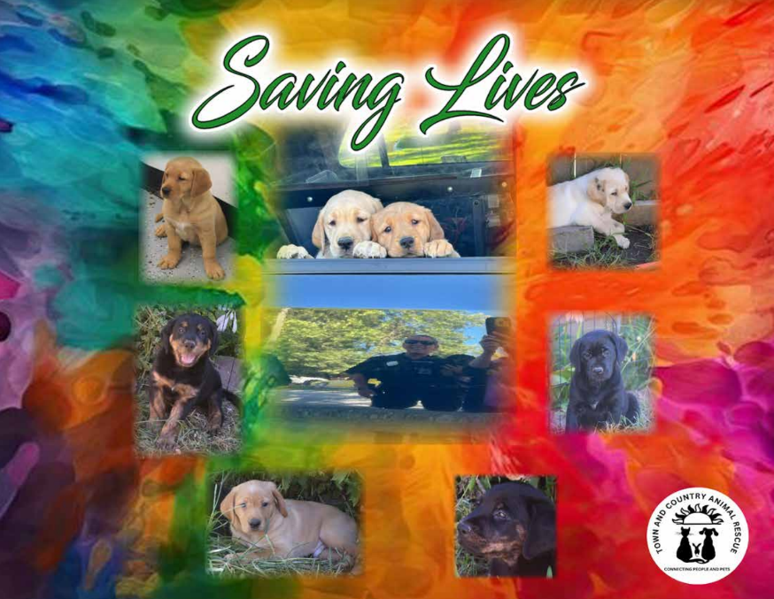 2025 Town and Country Animal Rescue Saving Lives Calendar