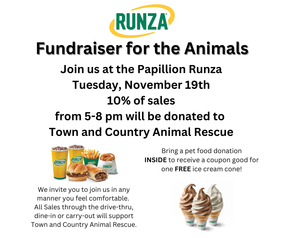 Runza Flyer