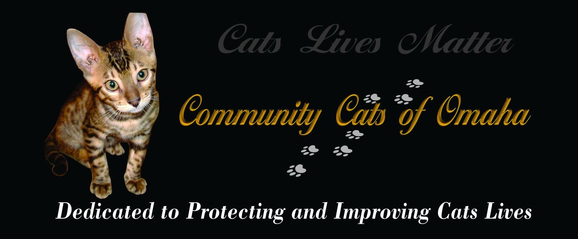 Community Cats Of Omaha
