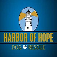 Harbor of Hope Dog Rescue