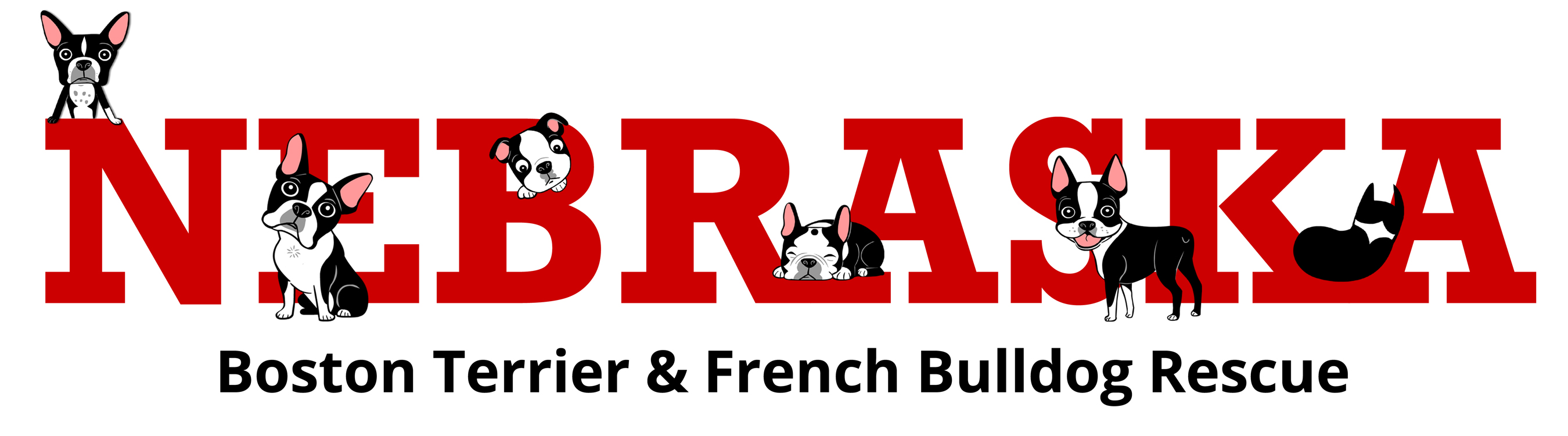 Nebraska Boston Terrier/French Bulldog Rescue