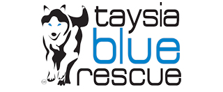 Taysia Blue Husky and Malamute Rescue