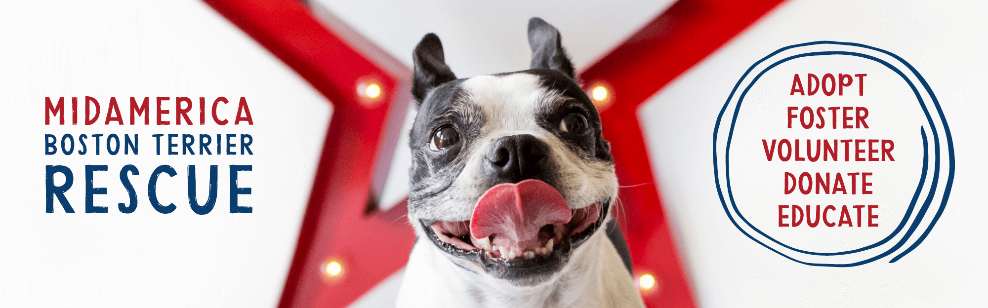 MidAmerica Boston Terrier Rescue SHARE Omaha