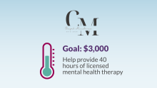 Chayah Ministries, Goal: $3,000 to help provide 40 hours of licensed mental health therapy