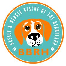 Basset & Beagle logo with image of a hound