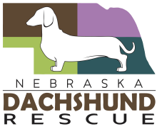 Nebraska Dachshund Rescue logo