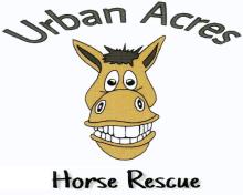 cartoon smiling horse with text Urban Acres Horse Rescue